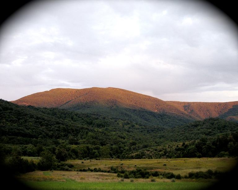 View of Shenandoah Valley